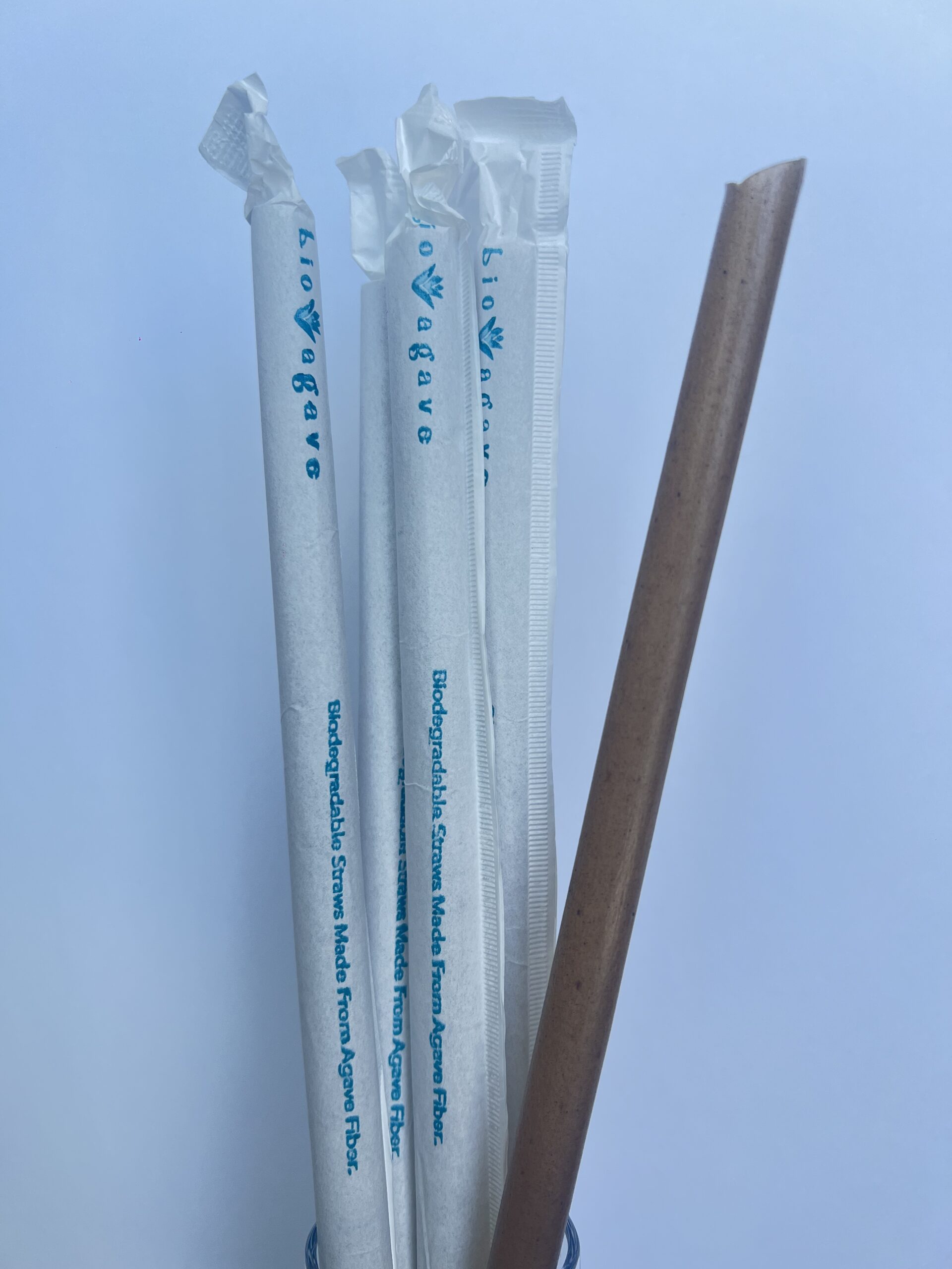 agave fiber straw